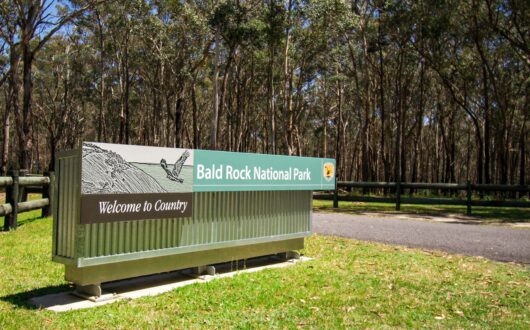 Bald Rock Sign-min